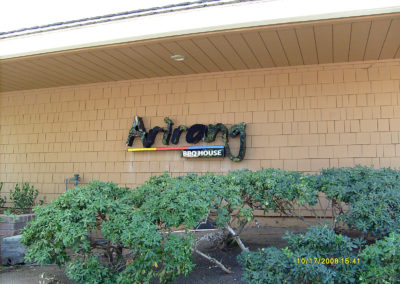 Custom Channel Letters Sign for Arirang Restaurant - view 2