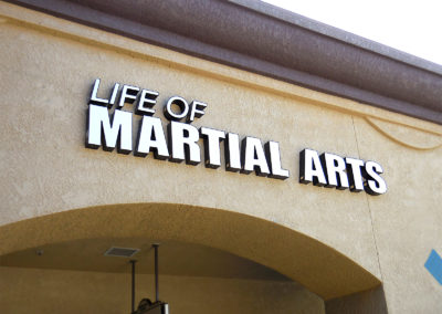 Life Of Martial Arts