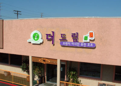 Custom Channel Letters Sign for The Dream