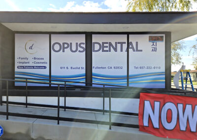 Opus Dental-Graphics
