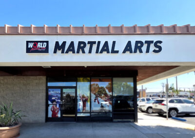 World Martial Arts
