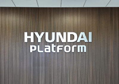 Hyundai Platform